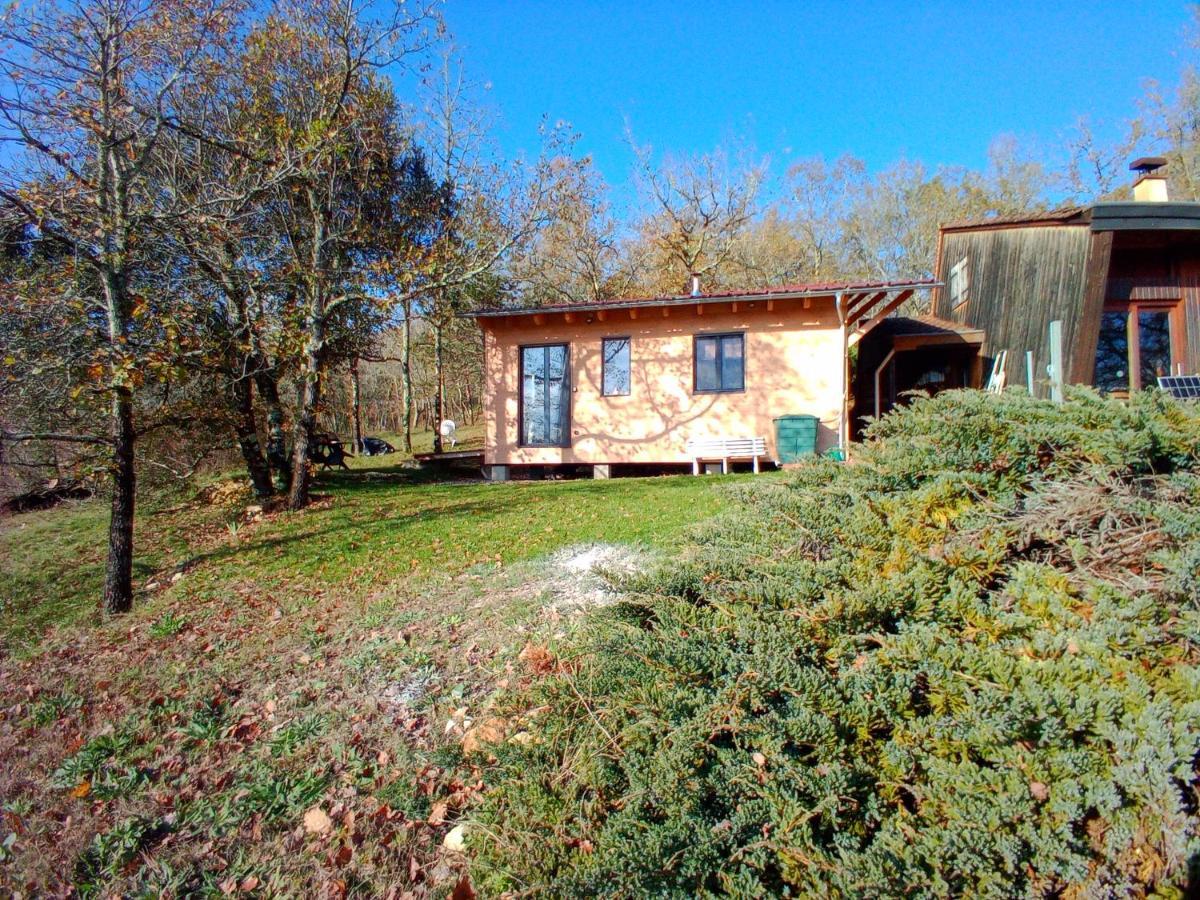Maison Dans Un Ecrin De Verdure Сен-Леон-сюр-Везер Екстер'єр фото